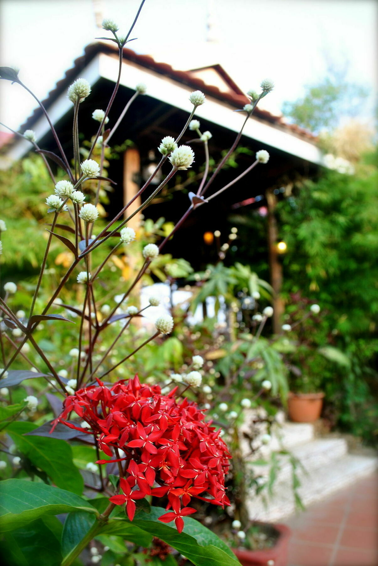 The River Lodge Kampot Exterior photo